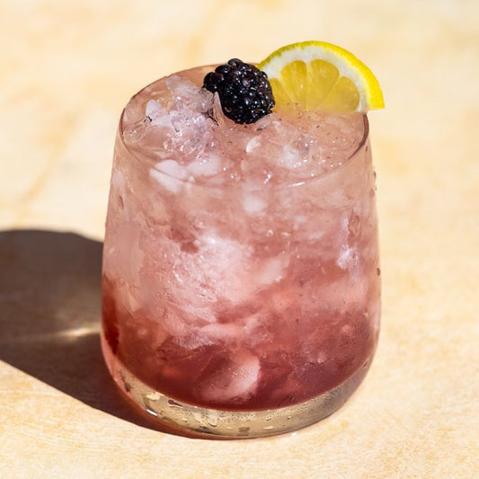 Bramble mit Pannonia Spirits Bio Dry Gin