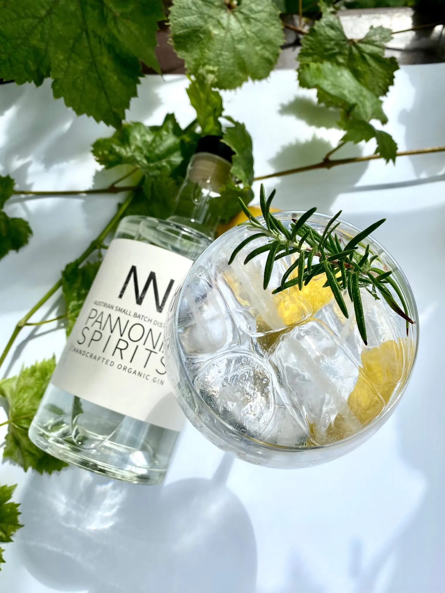 Gin Tonic