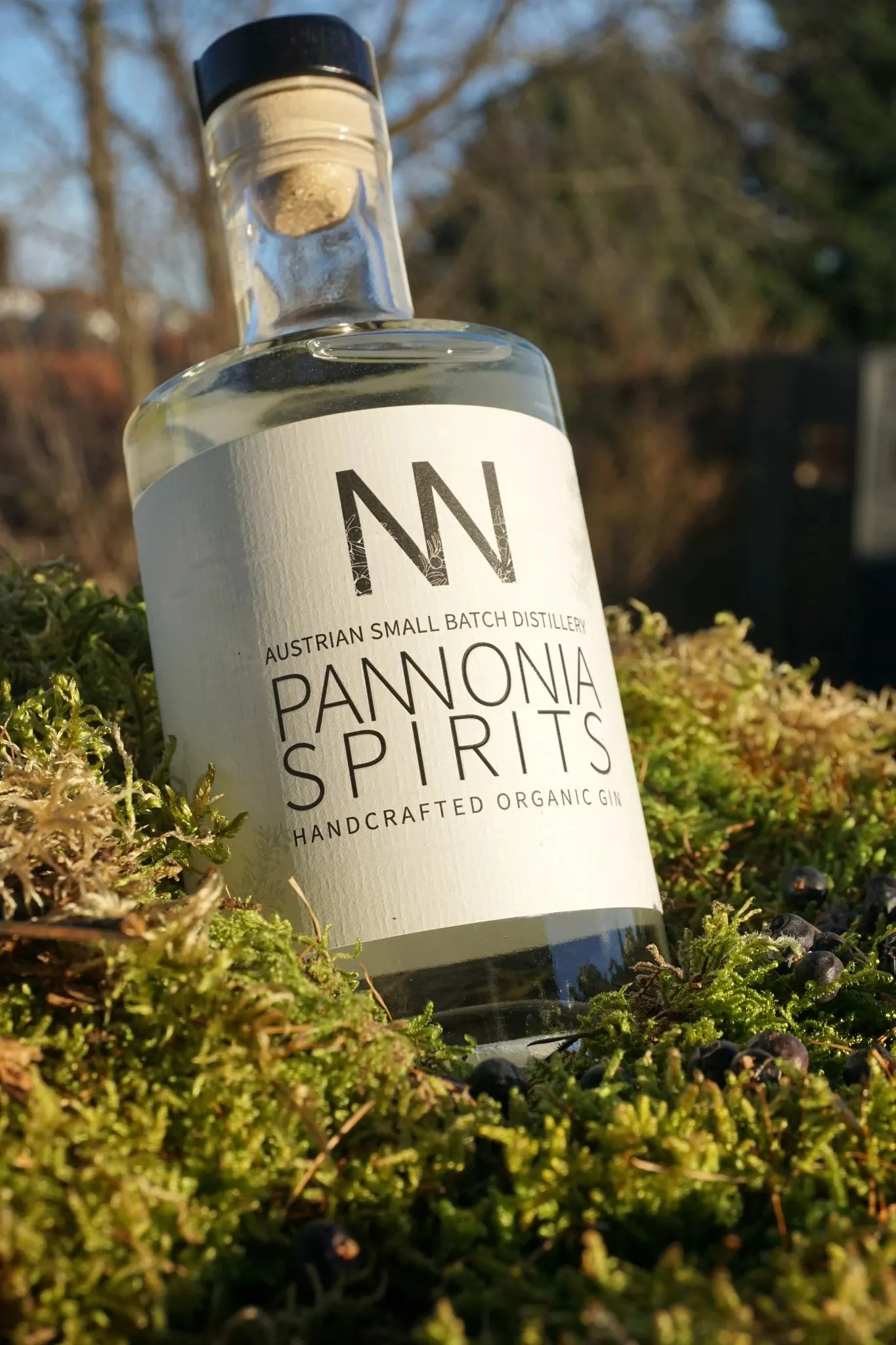 BIO Dry Gin 700ml - Ansicht 2